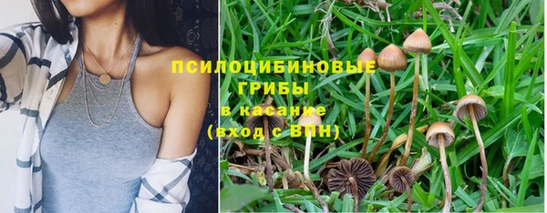 кокс Богданович