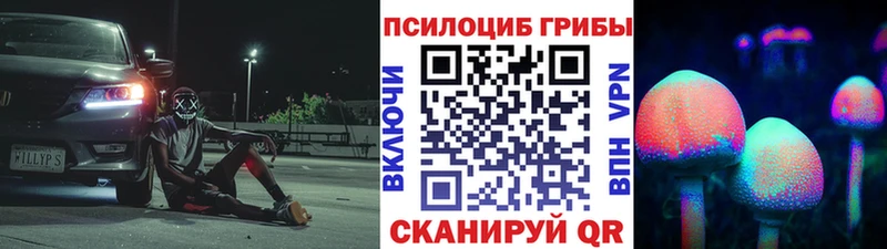 Псилоцибиновые грибы Psilocybe Октябрьский